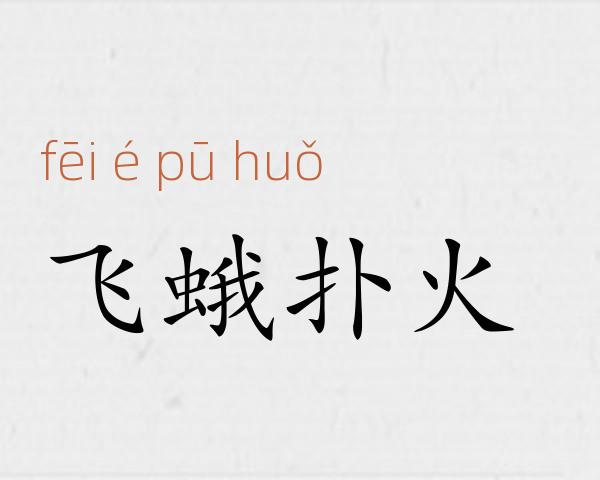 飞蛾扑火成语故事