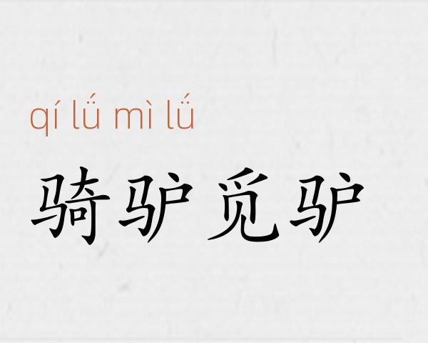 骑驴觅驴成语故事