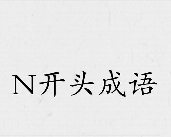 N开头成语