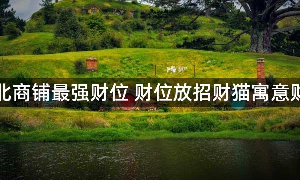坐南朝北商铺最强财位 财位放招财猫寓意财福双至