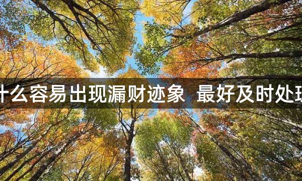 在家中放什么容易出现漏财迹象 最好及时处理防患未然