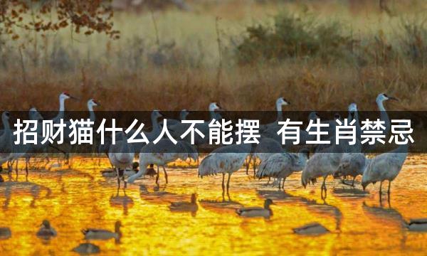 招财猫什么人不能摆 有生肖禁忌