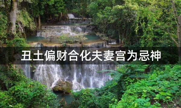 丑土偏财合化夫妻宫为忌神