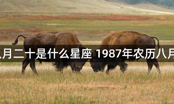 1987年农历八月二十是什么星座 1987年农历八月二十星座查询
