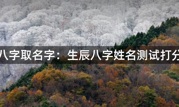 生辰八字取名字:生辰八字姓名测试打分示范