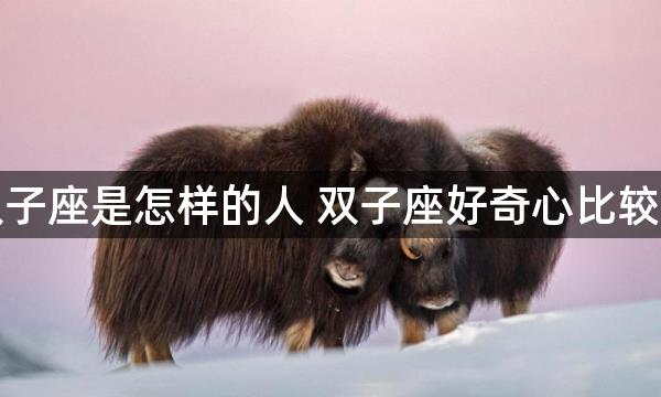 双子座是怎样的人 双子座好奇心比较重