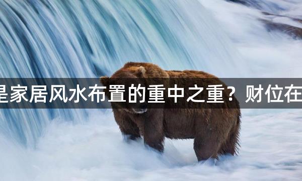 财位是家居风水布置的重中之重?财位在哪里?