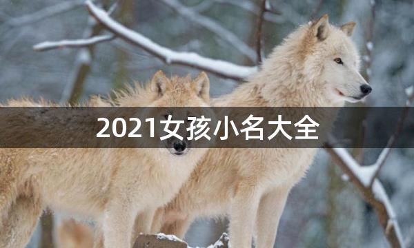 2021女孩小名大全