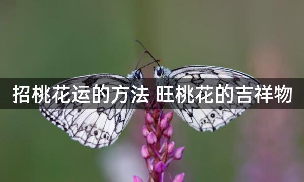 招桃花运的方法 旺桃花的吉祥物