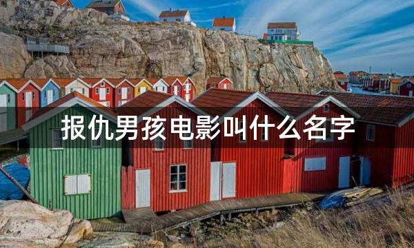 报仇男孩电影叫什么名字