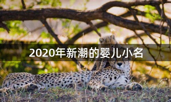 2020年新潮的婴儿小名,水果、动物齐上阵