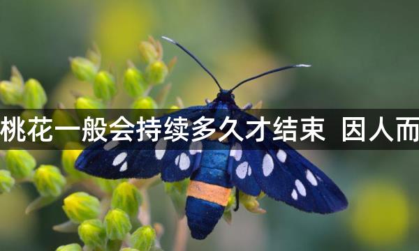 烂桃花一般会持续多久才结束 因人而异