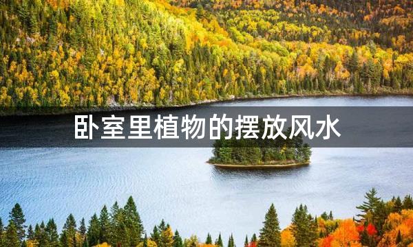 卧室里植物的摆放风水