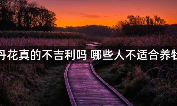 养牡丹花真的不吉利吗 哪些人不适合养牡丹花