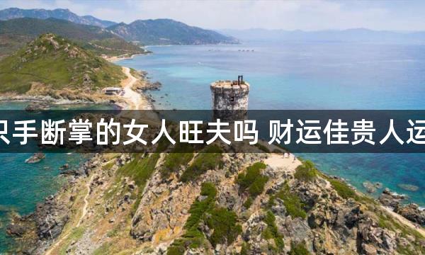 2只手断掌的女人旺夫吗 财运佳贵人运旺