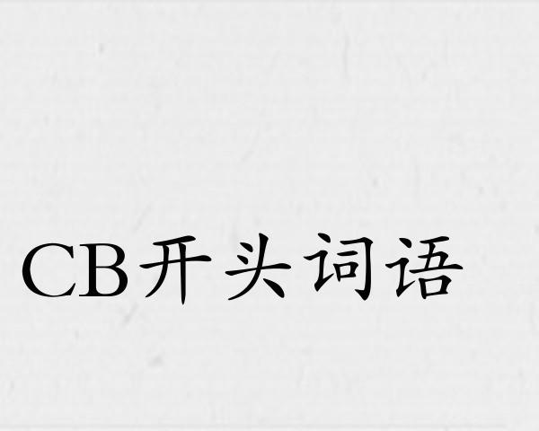 CB开头词语