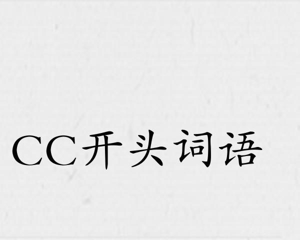 CC开头词语