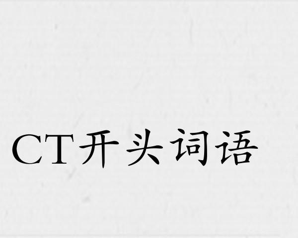 CT开头词语