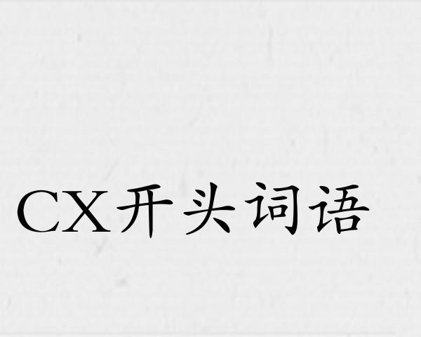 CX开头词语