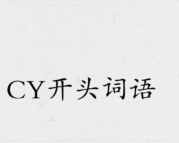 CY开头词语