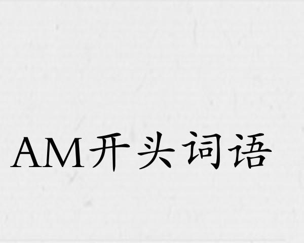 AM开头词语