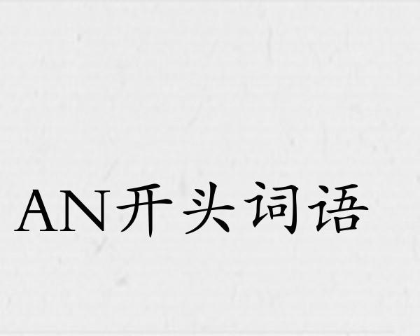 AN开头词语