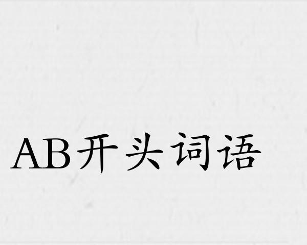 AB开头词语