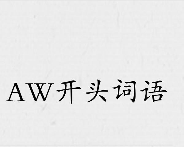 AW开头词语