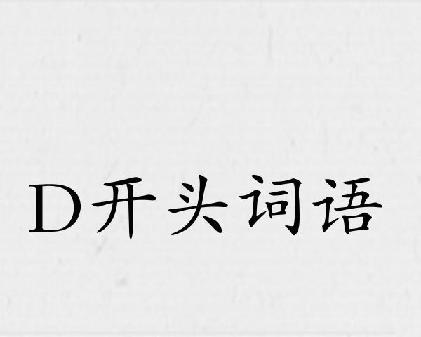 D开头词语