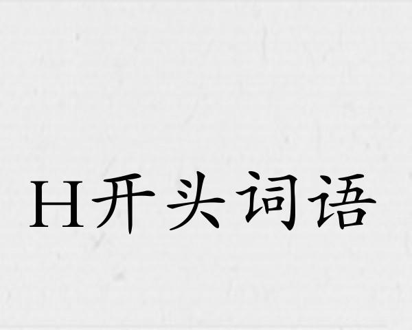 H开头词语