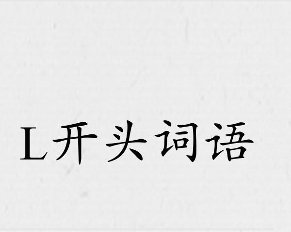 L开头词语