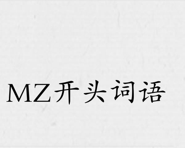 MZ开头词语