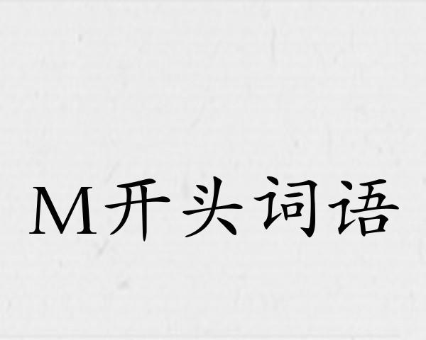 M开头词语