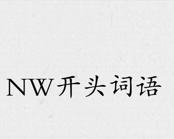 NW开头词语