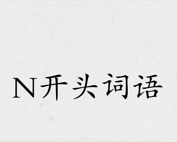 N开头词语