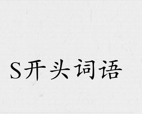 S开头词语