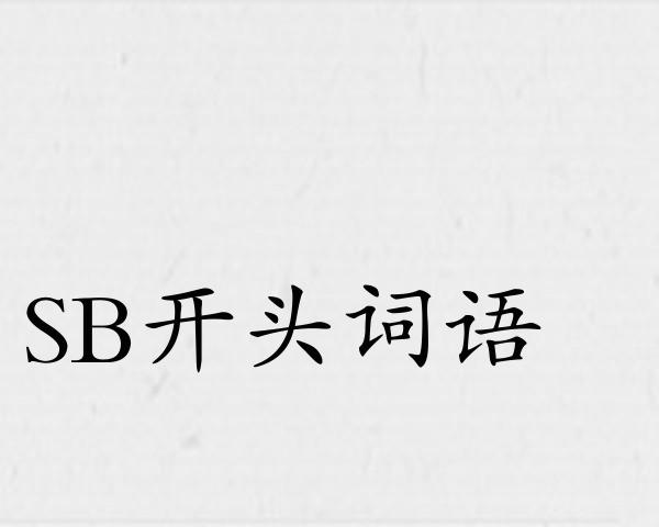 SB开头词语
