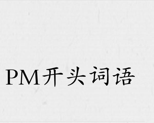 PM开头词语