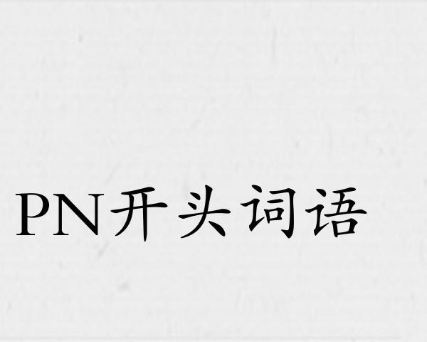 PN开头词语