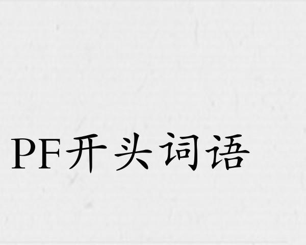 PF开头词语