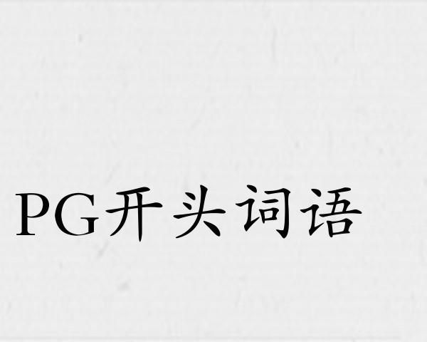 PG开头词语