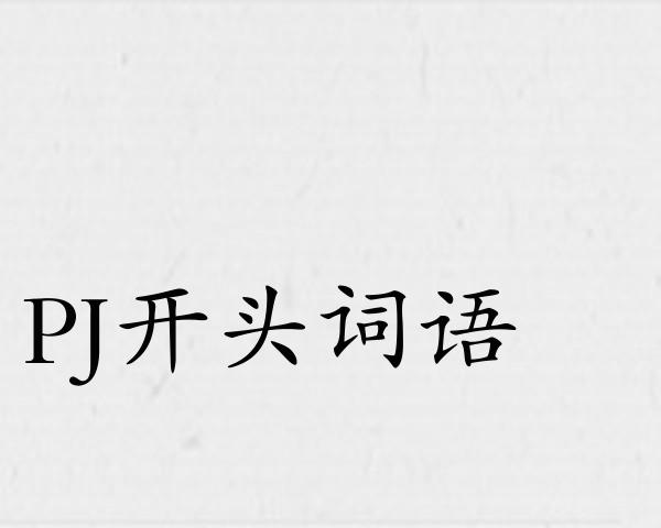 PJ开头词语