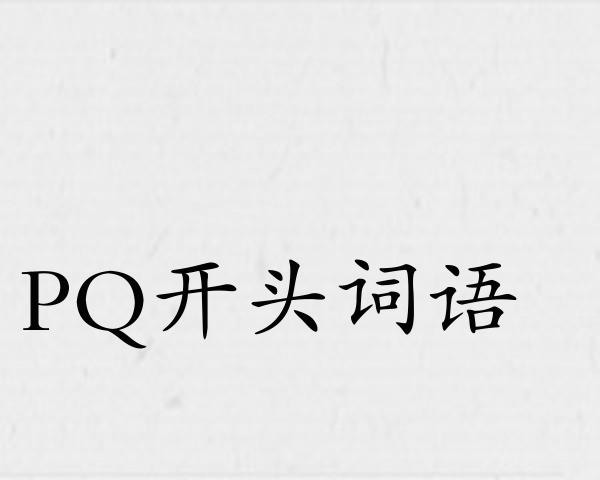 PQ开头词语