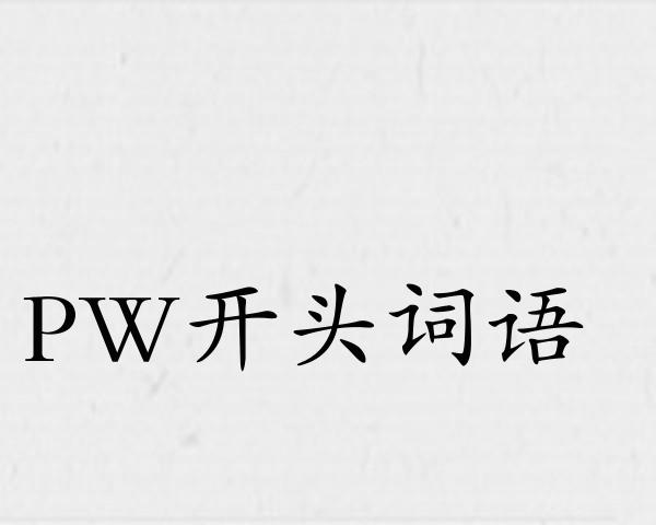 PW开头词语