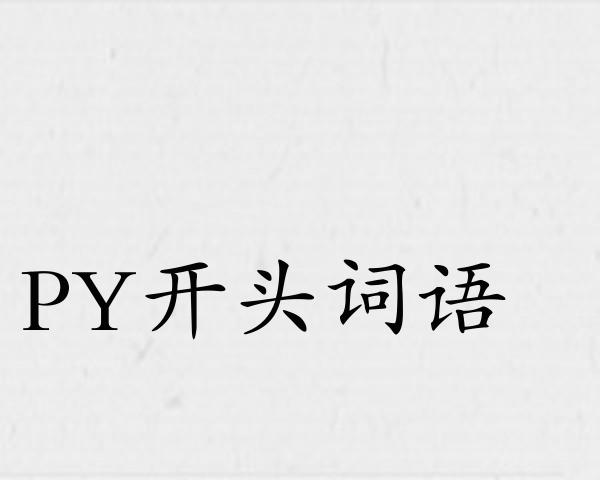 PY开头词语
