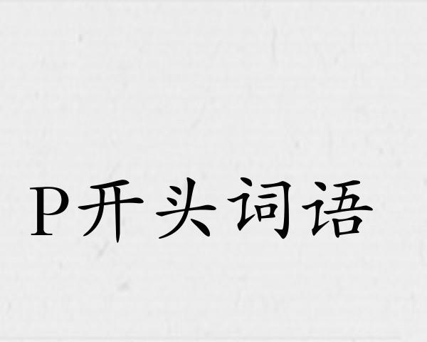 P开头词语