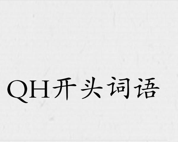 QH开头词语