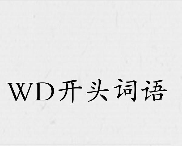WD开头词语