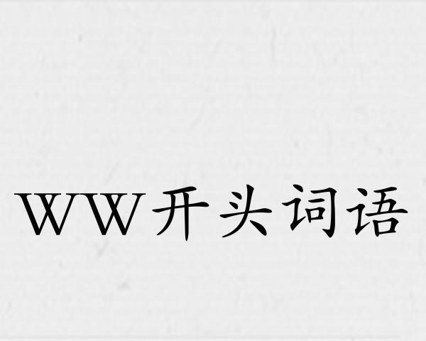 WW开头词语