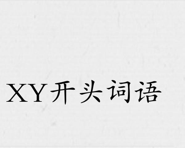 XY开头词语